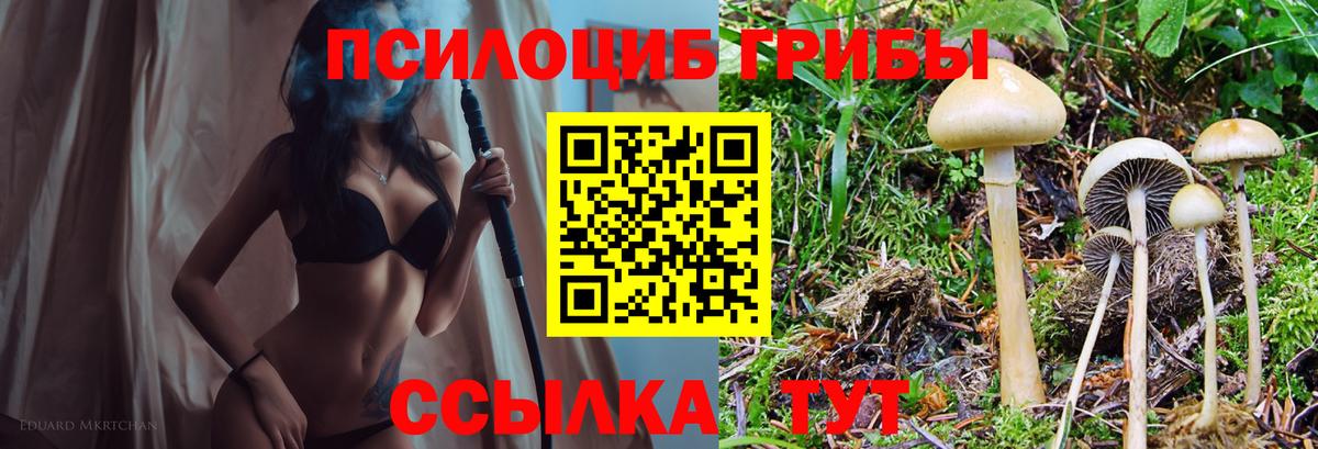 Псилоцибиновые грибы Magic Shrooms Калининград