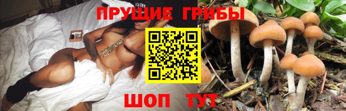 Галлюциногенные грибы Magic Shrooms Калининград